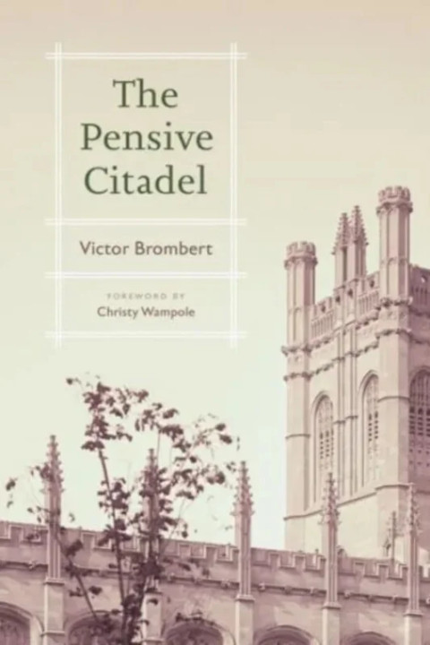 Omslag: The Pensive Citadel