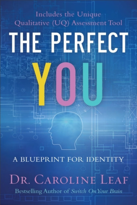 Omslag: The Perfect You