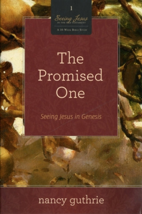 Omslag: The Promised One