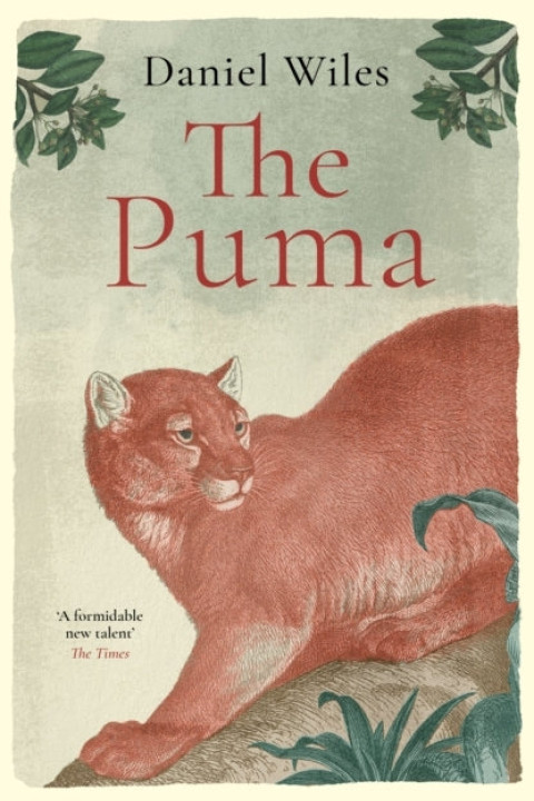 Omslag: The Puma