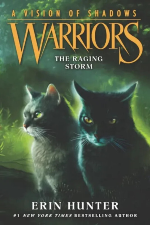 Omslag: The Raging Storm