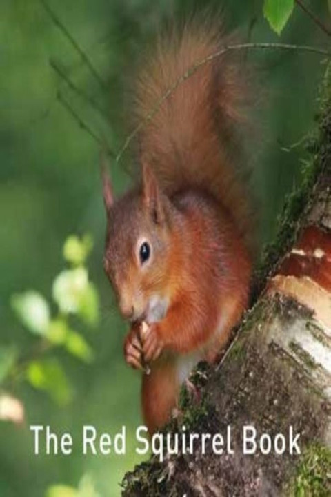Omslag: The Red Squirrel Book