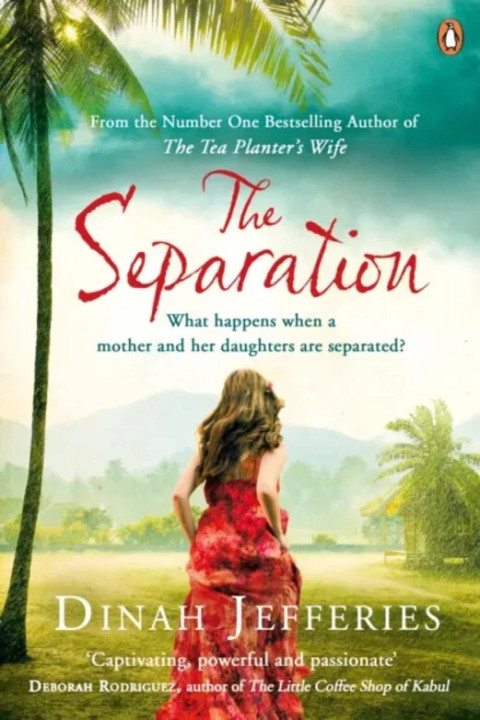 Omslag: The Separation