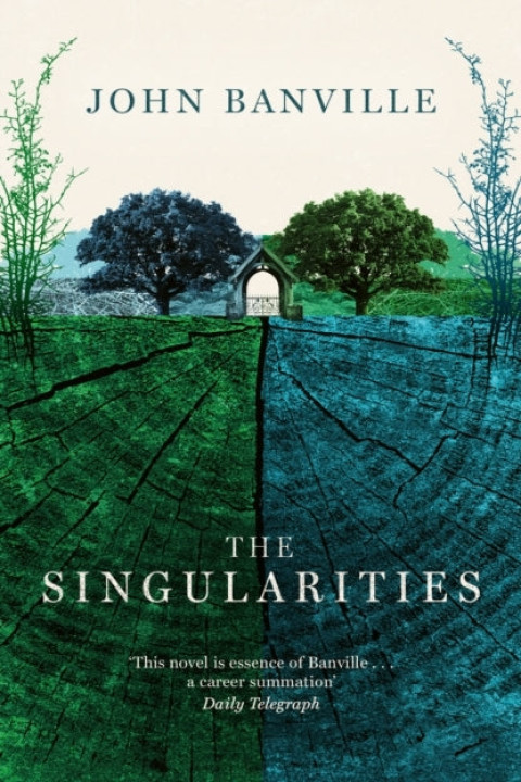 Omslag: The Singularities