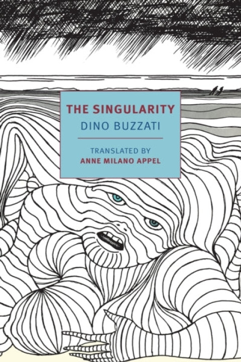 Omslag: The Singularity