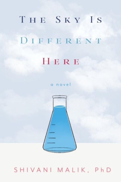 Omslag: The Sky is Different Here