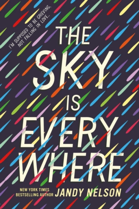 Omslag: The Sky Is Everywhere