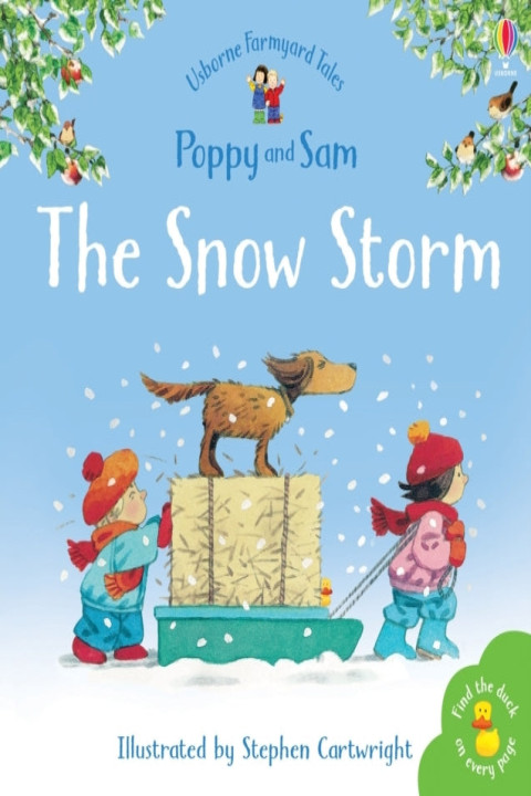 Omslag: The Snow Storm