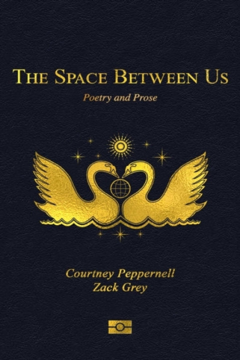 Omslag: The Space Between Us