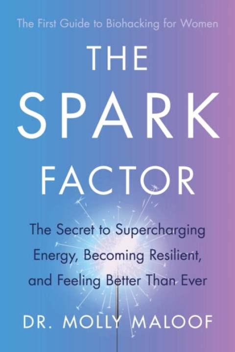 Omslag: The Spark Factor