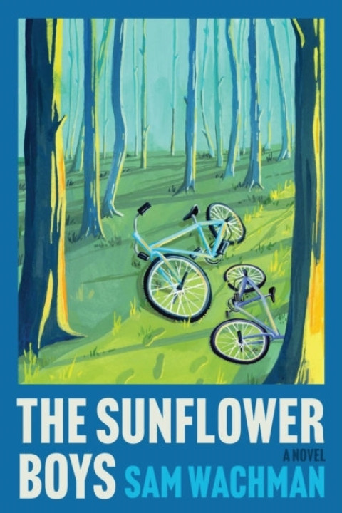 Omslag: The Sunflower Boys