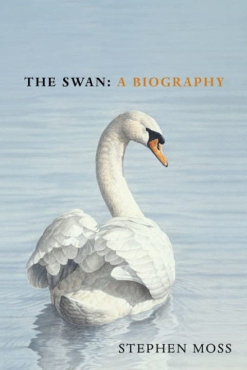 Omslag: The Swan