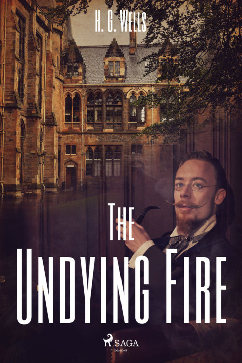 Omslag: The Undying Fire