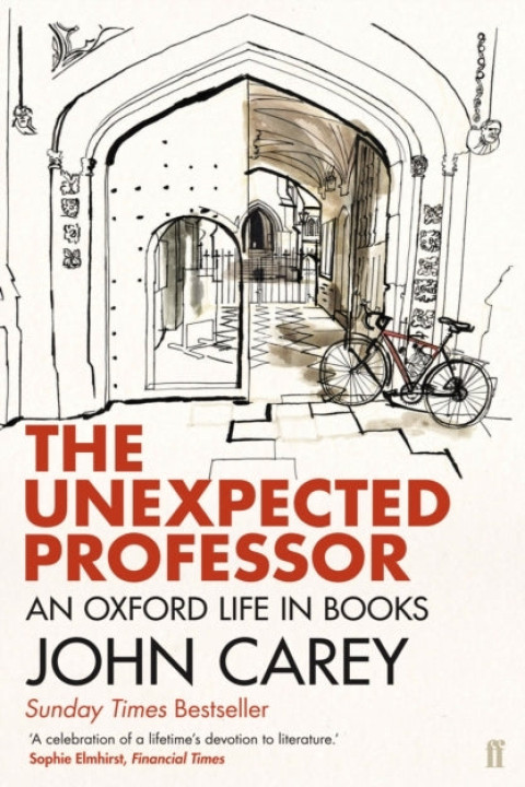 Omslag: The Unexpected Professor