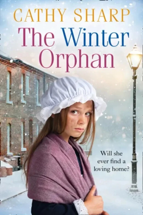 Omslag: The Winter Orphan