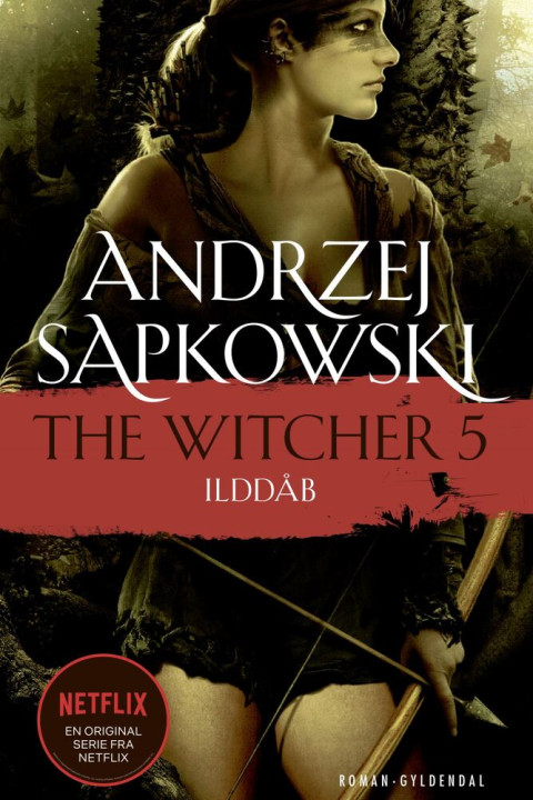Omslag: THE WITCHER 5