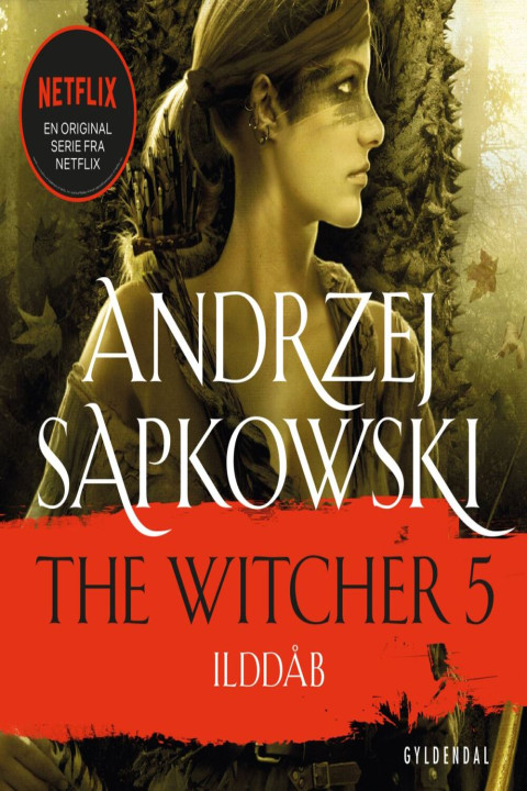 Omslag: THE WITCHER 5