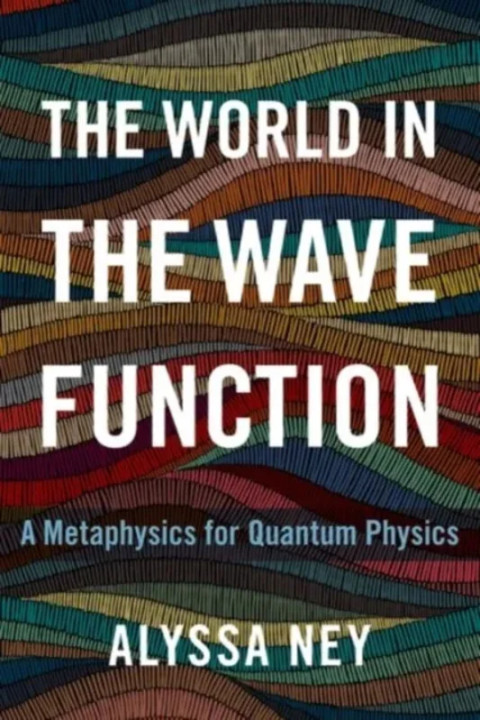 Omslag: The World in the Wave Function - A Metaphysics for Quantum Physics