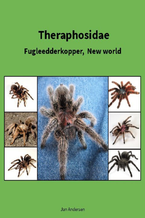 Omslag: Theraphosidae