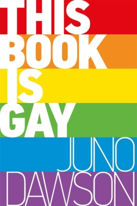 Omslag: This Book Is Gay