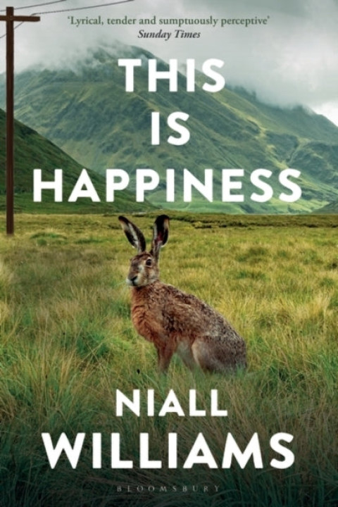 Omslag: This Is Happiness