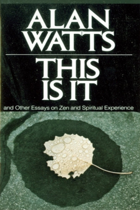 Omslag: This Is It