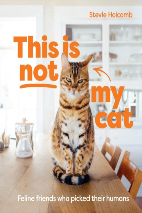 Omslag: This Is Not My Cat