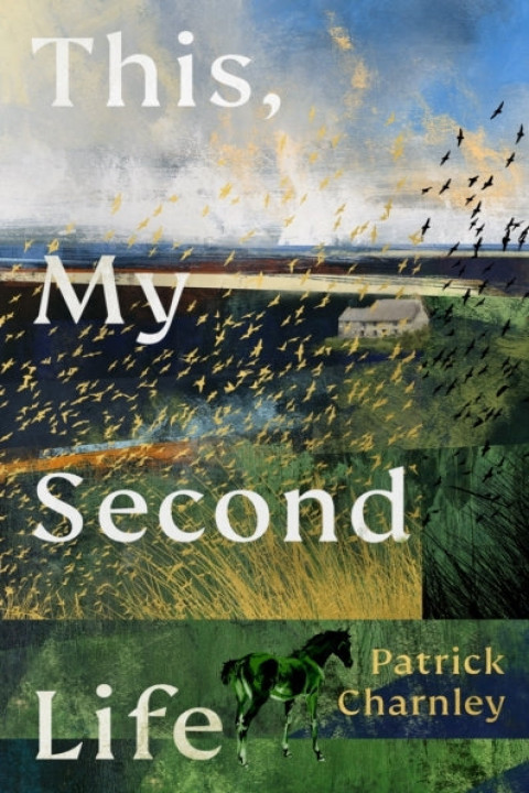 Omslag: This, My Second Life