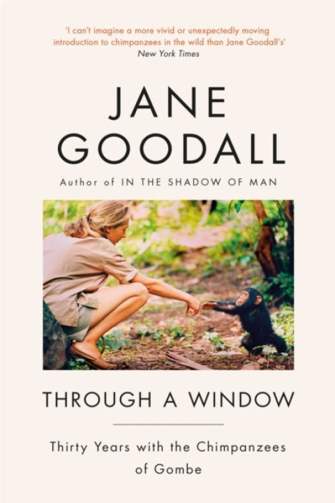 Omslag: Through a Window