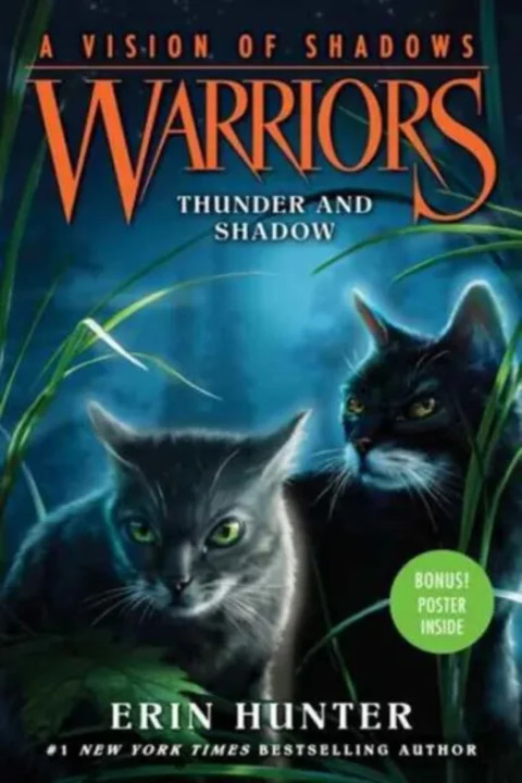 Omslag: Thunder and Shadow