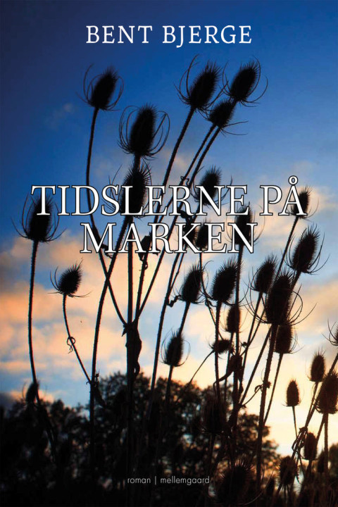Omslag: TIDSLERNE PÅ MARKEN