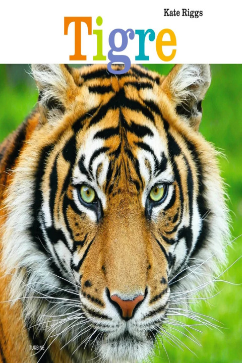Omslag: Tigre