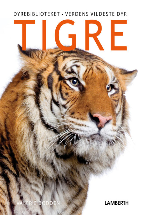 Omslag: Tigre