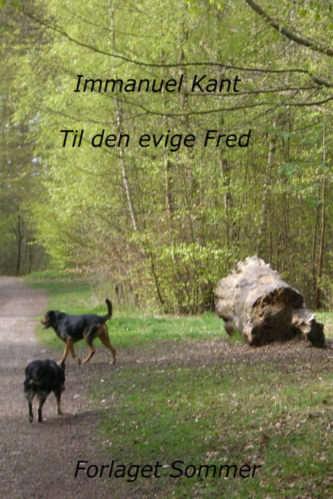 Omslag: Til den evige fred