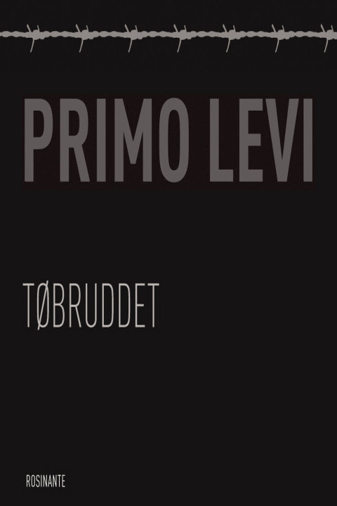 Omslag: Tøbruddet
