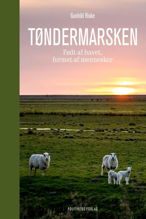Omslag: Tøndermarsken