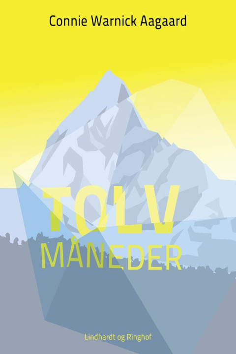 Omslag: Tolv måneder