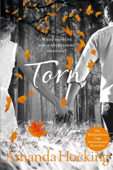 Omslag: Torn