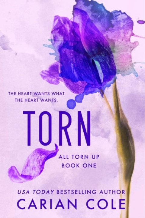 Omslag: Torn