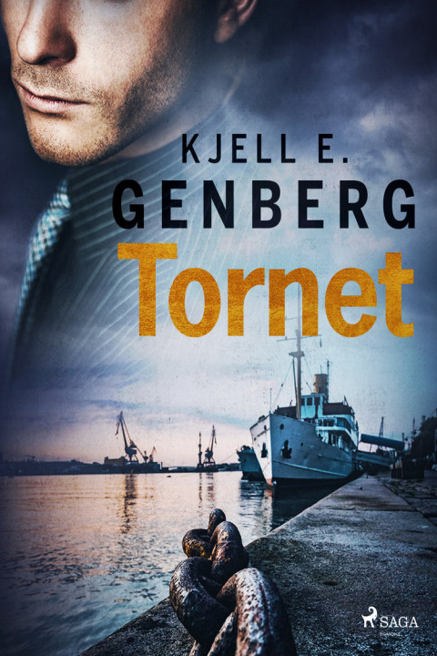 Omslag: Tornet