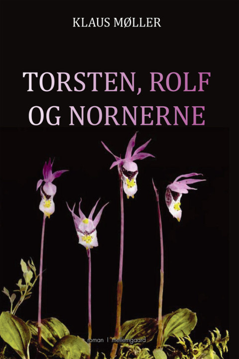Omslag: Torsten, Rolf og nornerne