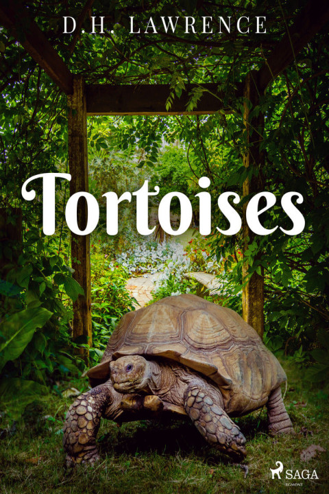 Omslag: Tortoises