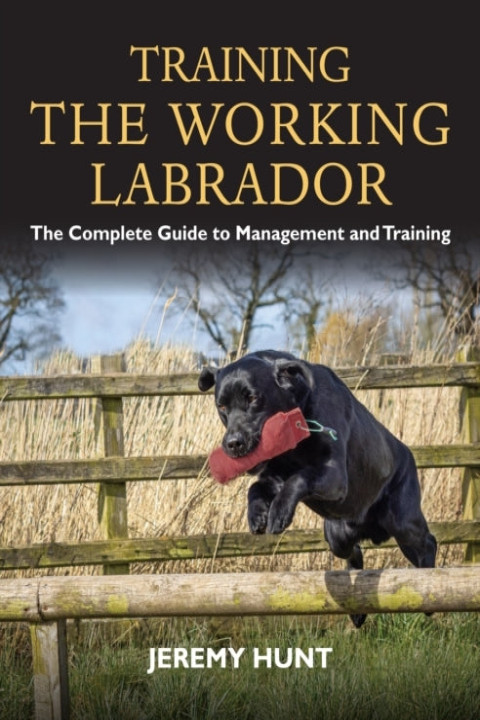 Omslag: Training the Working Labrador