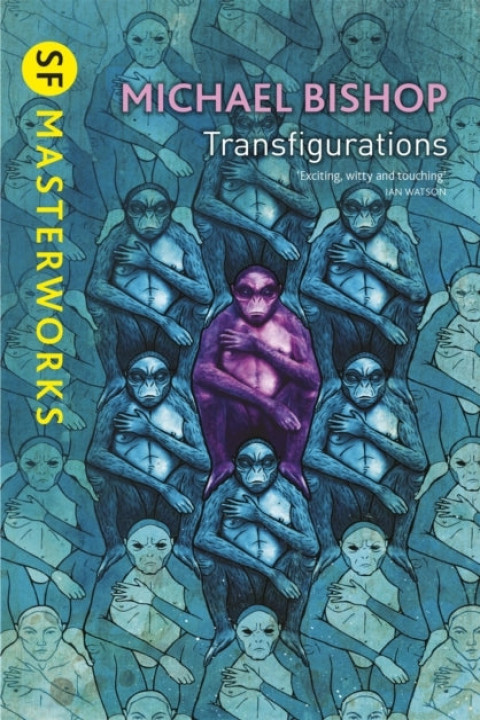 Omslag: Transfigurations