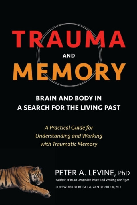 Omslag: Trauma and Memory