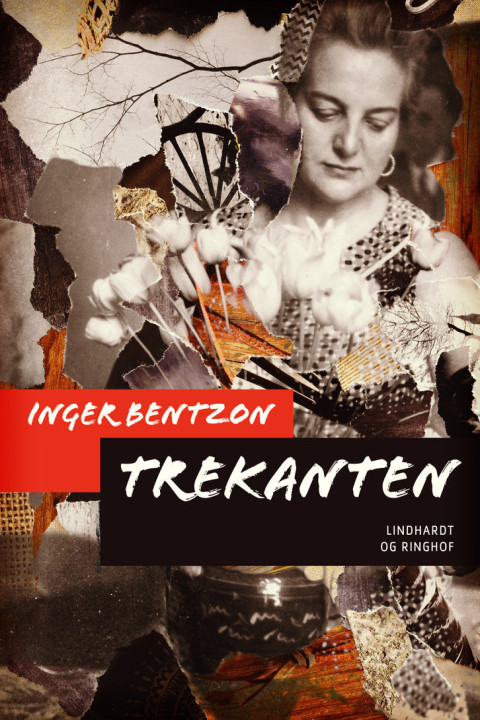 Omslag: Trekanten