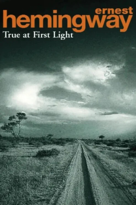 Omslag: True At First Light