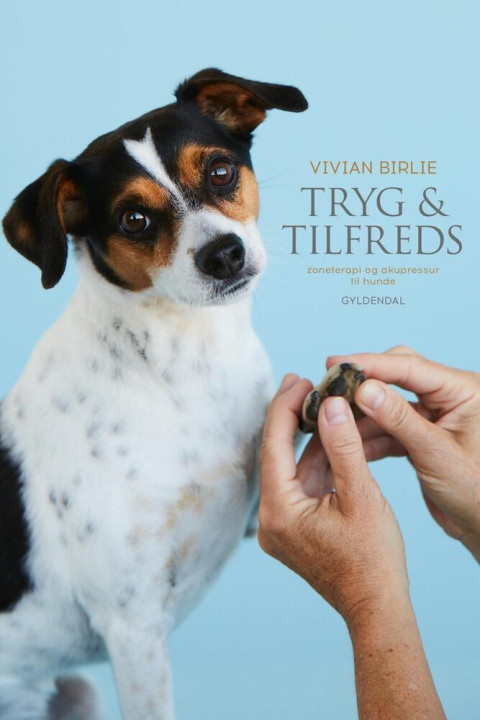 Omslag: Tryg & tilfreds