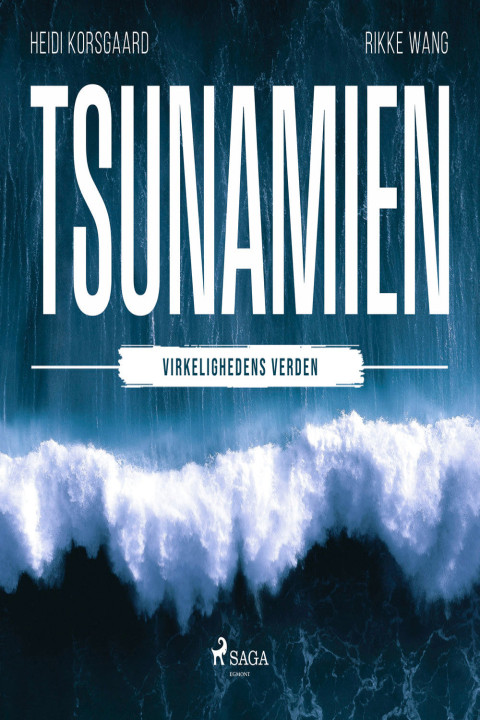 Omslag: Tsunamien