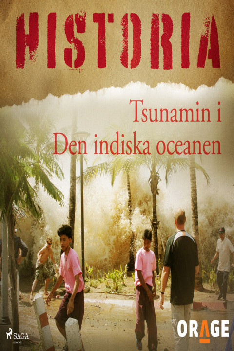 Omslag: Tsunamin i Den indiska oceanen